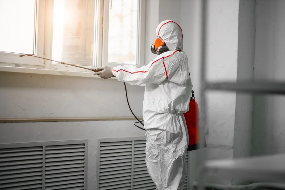 Professional mold remediation services in Jim Thorpe, PA